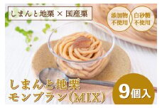 【2025年9月ごろ予約受付再開予定】【添加物不使用】栗のおいしさを追求！「しまんと地栗モンブラン(MIX／9個入)」　Qdr-209　／ギフト お取り寄せ 高知 四万十 四万十ドラマ しまんと地栗 国産栗 和栗 モンブラン 栗スイーツ 贈りもの 御祝 洋菓子 白砂糖添加物不使用 渋皮煮 熨斗 御年賀 御歳暮 御中元