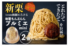 【新栗予約／2024年11月中旬以降順次発送】1mm極細！とろけるモンブラン「プルミエmini」2個　Qdr-A210　／添加物不使用 しまんと地栗 国産栗 和栗 栗スイーツ 渋皮煮 贈りもの ギフト お取り寄せ 高知 四万十 四万十ドラマ 御祝 洋菓子 熨斗 御年賀 お歳暮