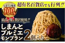 【新栗予約／2025年11月上旬以降順次発送】1mm極細！とろけるモンブラン「しまんとプルミエモンブラン」2個　Qdr-A210　／添加物不使用 しまんと地栗 国産栗 和栗 栗スイーツ 渋皮煮 贈りもの ギフト お取り寄せ 高知 四万十 四万十ドラマ 御祝 洋菓子 熨斗 御年賀 お歳暮