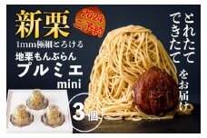 【新栗予約／2024年11月中旬以降順次発送】1mm極細！とろけるモンブラン「プルミエmini」3個　Qdr-211　／添加物不使用 しまんと地栗 国産栗 和栗 栗スイーツ 渋皮煮 贈りもの ギフト お取り寄せ 高知 四万十 四万十ドラマ 御祝 洋菓子 熨斗 御年賀 お歳暮