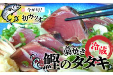 初ガツオ 鰹のタタキ セット（800g～1kg）鰹 藁焼き カツオ かつお たたき カツオのたたき かつおのたたき 高知 シーズン旬もの！薬味（ニンニク、刻みネギ、スライス玉ネギ） 手作りの味 タタキのタレ付き 捕れたて鰹を発送 Ekd-01