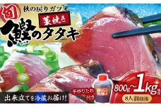 戻りガツオ 鰹のタタキ セット（800g～1kg）鰹 藁焼き カツオ かつお たたき カツオのたたき かつおのたたき 高知 シーズン旬もの！薬味（ニンニク、刻みネギ、スライス玉ネギ） 手作りの味 タタキのタレ付き 捕れたて鰹を発送 Ekd-01