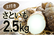 四万十町産「土付きさといも」2.5㎏　Fiz-A03 農産物 新鮮 里芋 里いも 野菜