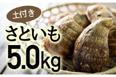 四万十町産「土付きさといも」5.0㎏　Fiz-06 農産物 新鮮 里芋 里いも 野菜