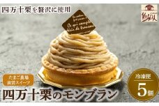 たまご農場直営スイーツ!四万十栗のモンブラン　5個入り Gbn-51 栗 くり クリ ケーキ 洋菓子 お菓子 スイーツ 和スイーツ マロン 和栗 ギフト スイーツギフト 贈り物