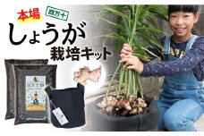 桜が咲いたら植えごろ！四万十町発初心者も安心のカンタン生姜栽培キット ／Fis-A02 趣味 ガーデニング 家庭菜園 園芸 ベランダ菜園 プランター 種 種子 プロ仕様の肥料 新生姜 薬味 甘酢漬け 天ぷら