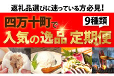 【2024年2月から】四万十町の特産品9回お届け！「金」コース　定期便　頒布会　Sgbn-01 季節の定期便  豪華  豚まん ロールケーキ オリエンタルリリー 四万十あめご ミルクアイス ウナギ 新米 仁井田米 味噌 カツオのタタキ
