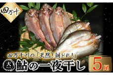 四万十川の天然鮎 大サイズ一夜干し（5枚セット） Esg-26 あゆ アユ 魚 魚介 川魚 塩焼き 干物 ひもの 海鮮