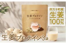 四万十町産生姜をたっぷり使用！クラファン291%達成の生姜プロテイン 3袋　／Org-A06 しょうが しょうがプロテイン 加工食品 プロテイン 健康食品 美容 ダイエット体づくり 筋トレ