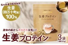 四万十町産生姜をたっぷり使用！クラファン291%達成の生姜プロテイン 3袋　／Org-A06 しょうが しょうがプロテイン 加工食品 プロテイン 健康食品 美容 ダイエット体づくり 筋トレ