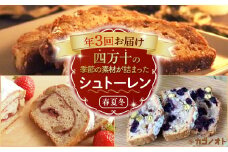 【年3回定期便】四万十の季節の素材を贅沢に使用した春夏冬 シュトーレン （3、7、12月上旬お届け） 冬 クリスマス プレゼント スイーツ お菓子 ケーキ パン カゴノオト 誕生日 冷蔵 Sikg-Z08 