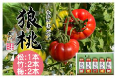 【無塩・無添加】3種の濃厚トマトジュースを飲み比べ！四万十育ち「狼桃果汁」計5本（松1本、竹2本、梅2本） Fdf-06　／フルーツトマト しまんと 高知 贈答 ギフト プレゼント 贈り物 御年賀 お歳暮 お中元 お取り寄せ 熨斗 料理 カクテル