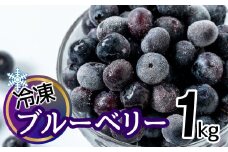 シャーベット感覚！四万十町産【冷凍】ブルーベリー1㎏ Cvs-B05 冷凍 国産 フルーツ 果物 