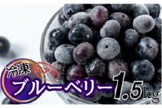 【訳アリ・大容量】シャーベット感覚！四万十町産【冷凍】ブルーベリー1.5kg Cvs-09 冷凍 国産 フルーツ 果物 