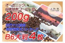 【オーガニック自家焙煎コーヒー豆200g】＋【写真家が撮影した四万十川流域のB6大判ポストカード4枚】Lip-01