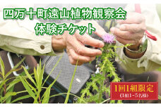 Mkk-33四万十町遠山植物観察会　体験チケット（1～5名様）