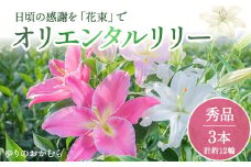 日頃の感謝を「花束」で、オリエンタルリリー【秀品3本】Osy-01 誕生日 植物 フラワー ギフト プレゼント