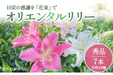 日頃の感謝を「花束」で、オリエンタルリリー【秀品7本】Osy-03  誕生日 植物 フラワー ギフト プレゼント