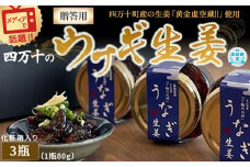 四万十うなぎ生姜 3瓶（1瓶80g入り）  ／Ess-28 ご飯のお供 鰻 ショウガ しょうが 肴 常温 四万十鰻  国産