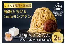 【2025年9月ごろ予約受付再開予定】【添加物不使用】1mm極細！とろけるモンブラン「地栗もんぶらん プルミエmini(MIX／2個)」　Qdr-231　／添加物不使用 しまんと地栗 国産栗 和栗 栗スイーツ 渋皮煮 贈りもの ギフト お取り寄せ ケーキ 高知 四万十 四万十ドラマ 御祝 洋菓子 熨斗 御年賀 お歳暮 おちゃくりcafe