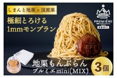 【2025年9月ごろ予約受付再開予定】【添加物不使用】1mm極細！とろけるモンブラン「地栗もんぶらん プルミエmini(MIX／3個)」　Qdr-232　／添加物不使用 しまんと地栗 国産栗 和栗 栗スイーツ 渋皮煮 贈りもの ギフト プレゼント お取り寄せ ケーキ 高知 四万十 四万十ドラマ 御祝 洋菓子 熨斗 御年賀 おちゃくりcafe