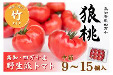 【先行予約／2025年2月下旬から発送】四万十育ち「狼桃」 糖度7度以上 竹タイプ（9～15個入） 中箱  Fdf-08 フルーツトマト 贈答 ギフト プレゼント トマト とまと 野菜 数量限定 期間限定 数量限定