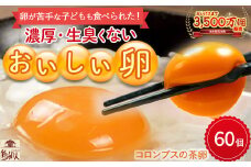 卵が苦手な子どもも食べられた！生臭くないおいしい卵 （10個入×6P） Gbn-59  たまご 卵 玉子 鶏卵 生卵 生たまご