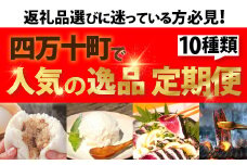【2025年1月から】四万十町の特産品10回お届け！「金」コース　定期便　頒布会　Sgbn-03 季節の定期便  豪華  豚まん ロールケーキ オリエンタルリリー 四万十あめご ミルクアイス ウナギ 新米 仁井田米 味噌 カツオのタタキ
