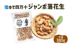 2024新豆　塩ゆで四万十ジャンボ落花生380g1個　こだわりの無農薬栽培！大きいだけじゃない！美味しさもジャンボ！Fsy-11 ピーナッツ ピーナツ ジャンボピーナッツ おつまみ ビールのお供 国産 豆 