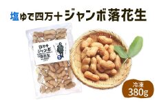 2024新豆　塩ゆで四万十ジャンボ落花生380g1個　こだわりの無農薬栽培！大きいだけじゃない！美味しさもジャンボ！Fsy-11 ピーナッツ ピーナツ ジャンボピーナッツ おつまみ ビールのお供 国産 豆 