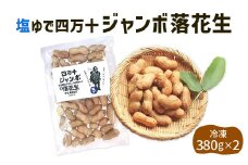 2024新豆　塩ゆで四万十ジャンボ落花生760g（380g２個）　こだわりの無農薬栽培！大きいだけじゃない！美味しさもジャンボ！Fsy-12 ピーナッツ ピーナツ ジャンボピーナッツ おつまみ ビールのお供 国産 豆 