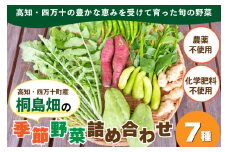 【栽培期間中、農薬・化学肥料不使用】桐島畑の季節野菜詰め合わせ(7種類)  Fkh-10   ／  やさい 国産野菜 四万十 高知 季節 フレッシュ 旬 無農薬 有機農業