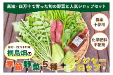 【栽培期間中、農薬・化学肥料不使用】 桐島畑の季節野菜(5種類)＋ジンジャーシロップ1本  Fkh-11  ／  やさい 国産野菜 四万十 高知 季節 フレッシュ 旬 無農薬 有機農業 生姜 粗糖 温活 ジンジャーエール ホットジンジャー