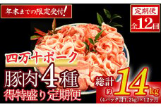 【2026年1月から毎月お届け】ブランド豚 ★得特盛り★ 定期便 (1.2kg×12回) Rgbn-B01 頒布会 国産 ぶた肉 豚肉 肉 お肉 国産豚肉 国産ぶた肉 