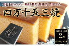 特製米粉かすてら 四万十五三焼（約250ｇ×2本） カステラ かすてら スイーツ 菓子 洋菓子 ギフト スイーツギフト 贈答 Bmu-77 