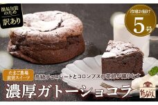 【訳アリ】たまご農場直営スイーツ！ガトーショコラ5号 ホール／Gbn-54 ガトーショコラ チョコレート チョコ 洋菓子 お菓子 高知スイーツ 高知デザート