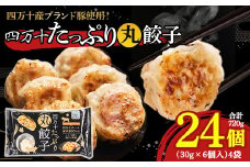 四万十産ブランド豚使用！四万十たっぷり丸餃子 4袋（30g×6個入)合計720g ／Qak-43 餃子 丸餃子 冷凍餃子 生餃子 冷凍生餃子 国産餃子 ブランド豚