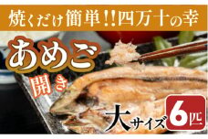 焼くだけ簡単！無投薬で四万十育ちのあめごの開き　大サイズ6匹 Eay-05　おつまみ バーベキュー BBQ アウトドア アメゴ 魚 魚介 川魚 塩焼き　あまご　開き　干物