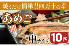 焼くだけ簡単！無投薬で四万十育ちのあめごの開き 中サイズ10匹 Eay-07 おつまみ バーベキュー BBQ アウトドア アメゴ 魚 魚介 川魚 塩焼き あまご 開き 干物