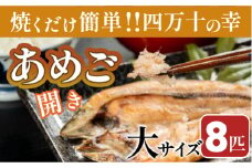 焼くだけ簡単！無投薬で四万十育ちのあめごの開き　大サイズ8匹 Eay-06 おつまみ バーベキュー BBQ アウトドア アメゴ 魚 魚介 川魚 塩焼き あまご 開き 干物