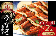 うなぎ蒲焼 【有頭】特大240g（2本入り） 冷凍 たれ付き 蒲焼 国産 鰻 ウナギ うなぎ 蒲焼き 肉厚 土用の丑の日 高知鰻 本格うなぎ 山椒付き 四万十うなぎ  Esu-205