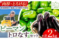 【期間限定】 ピーマン・トロなすセット 2kg（各1kg） 栽培期間中農薬・化学肥料不使用 ／Fms-17 農産物 新鮮 ぴーまん ピーマン 肉厚ピーマン ナス なす 茄子 焼きナス 野菜 大量 農薬不使用 化学肥料不使用