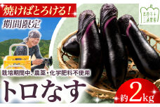 【期間限定】 焼いてトロける！三浦農園のトロなす2kg 栽培期間中農薬・化学肥料不使用 ／Fms-16 農産物 新鮮 ナス なす 茄子 焼きナス 野菜 大量 農薬不使用 化学肥料不使用