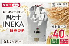 【新米予約】【有機玄米】希少な四万十の香る米 定期便4回（4か月） 10kg袋  四万十INEKA（稲華香米）化粧袋仕様 ／Fsg-03 小分け 便利 ブランド米 お米 米 香米 香る米 玄米 令和7年度産米 高知県 四万十町
