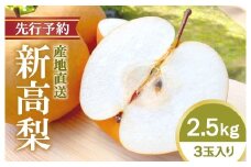 【先行予約】新高梨 2.5kg（3玉入り） 梨の王様 お手頃3玉 田井農園 Ctn-A002 大玉 枝熟れ 完熟 梨の王様 なし ナシ フルーツ デザート 果物 旬 幸水 豊水 秋月 新興 シャリシャリ 新鮮 