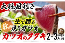 【生の鮮度】戻りガツオのタタキ2-3人前（薬味付き）【冷蔵】 Efs-07　鰹 高知 海産 冷蔵 ご贈答 ご家庭に ギフト 薬味（ニンニク、ネギ、大葉、生姜）特製のたたきのタレ　かつおのたたき