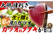【生の鮮度】戻りガツオのタタキ6-8人前（薬味付き）【冷蔵】 Efs-09　鰹 高知 海産 冷蔵 ご贈答 ご家庭に ギフト 薬味（ニンニク、ネギ、大葉、生姜）特製のたたきのタレ　かつおのたたき