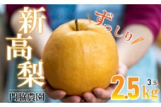 【数量限定】 新高梨 2.5kg（3玉） 門脇農園　四万十育ちの新高梨 ／Ckn-A003 大玉 枝熟れ 完熟 梨の王様 なし ナシ フルーツ デザート 果物 旬 幸水 豊水 秋月 新興 シャリシャリ 新鮮 