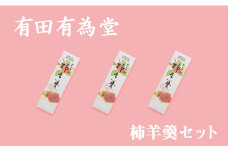 大月の銘菓　柿羊羹３本