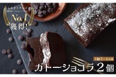 【2個セット】濃厚ガトーショコラ